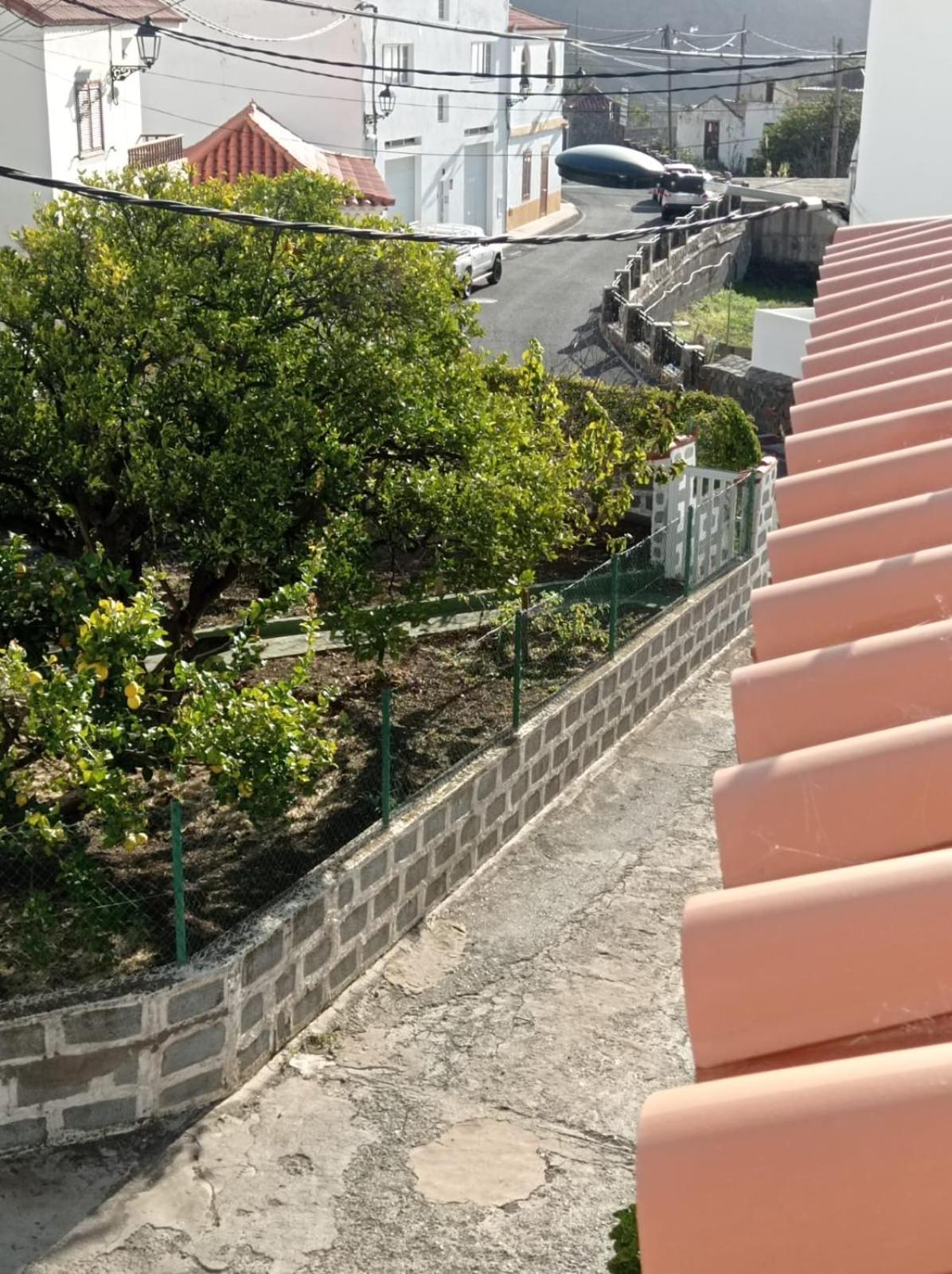 Apartamento El Rincon De Cornelia En Tejeda Tejeda  Exterior foto
